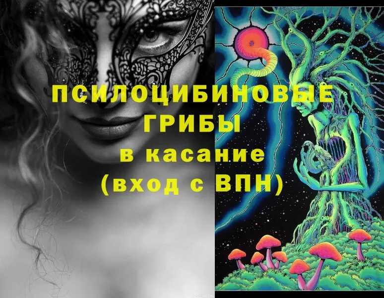 Псилоцибиновые грибы Magic Shrooms  Балашов 